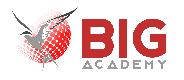 BIG Academy